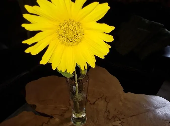 Jagdhaus Auf Dem Forsthof Mit Sauna